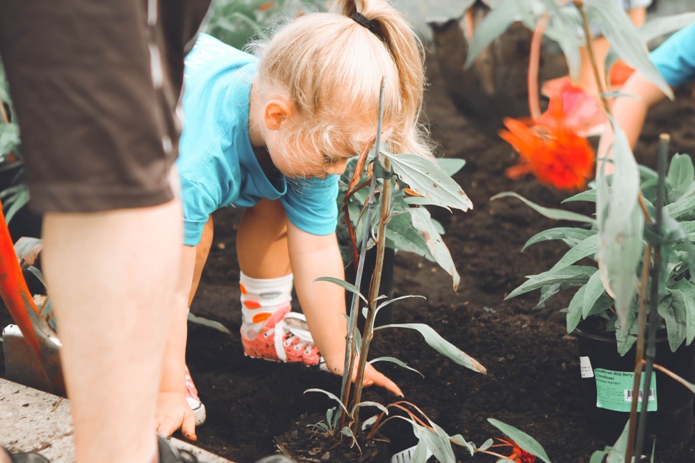 Tu BiShvat