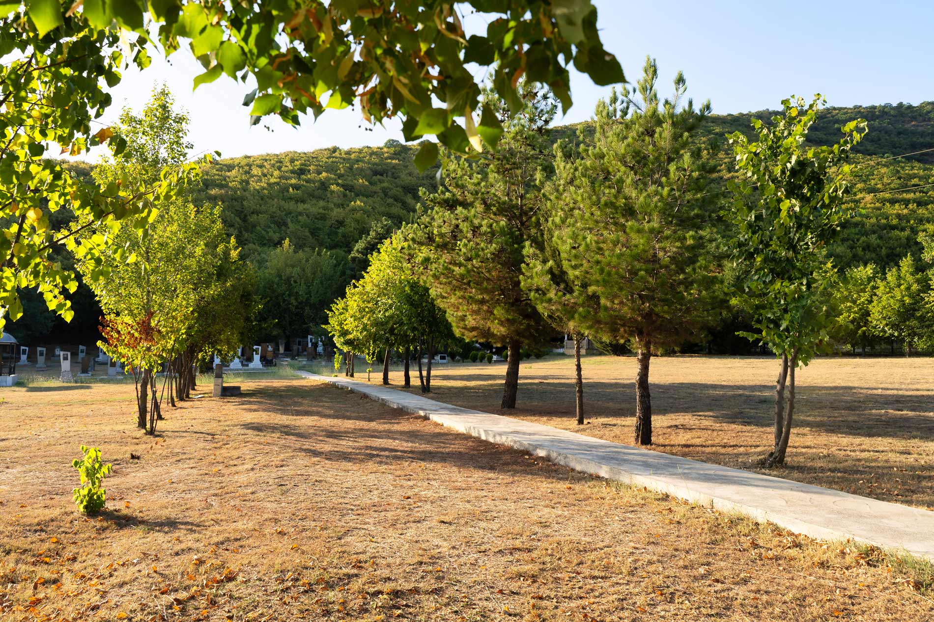 The Jewish cemetery of Oguz