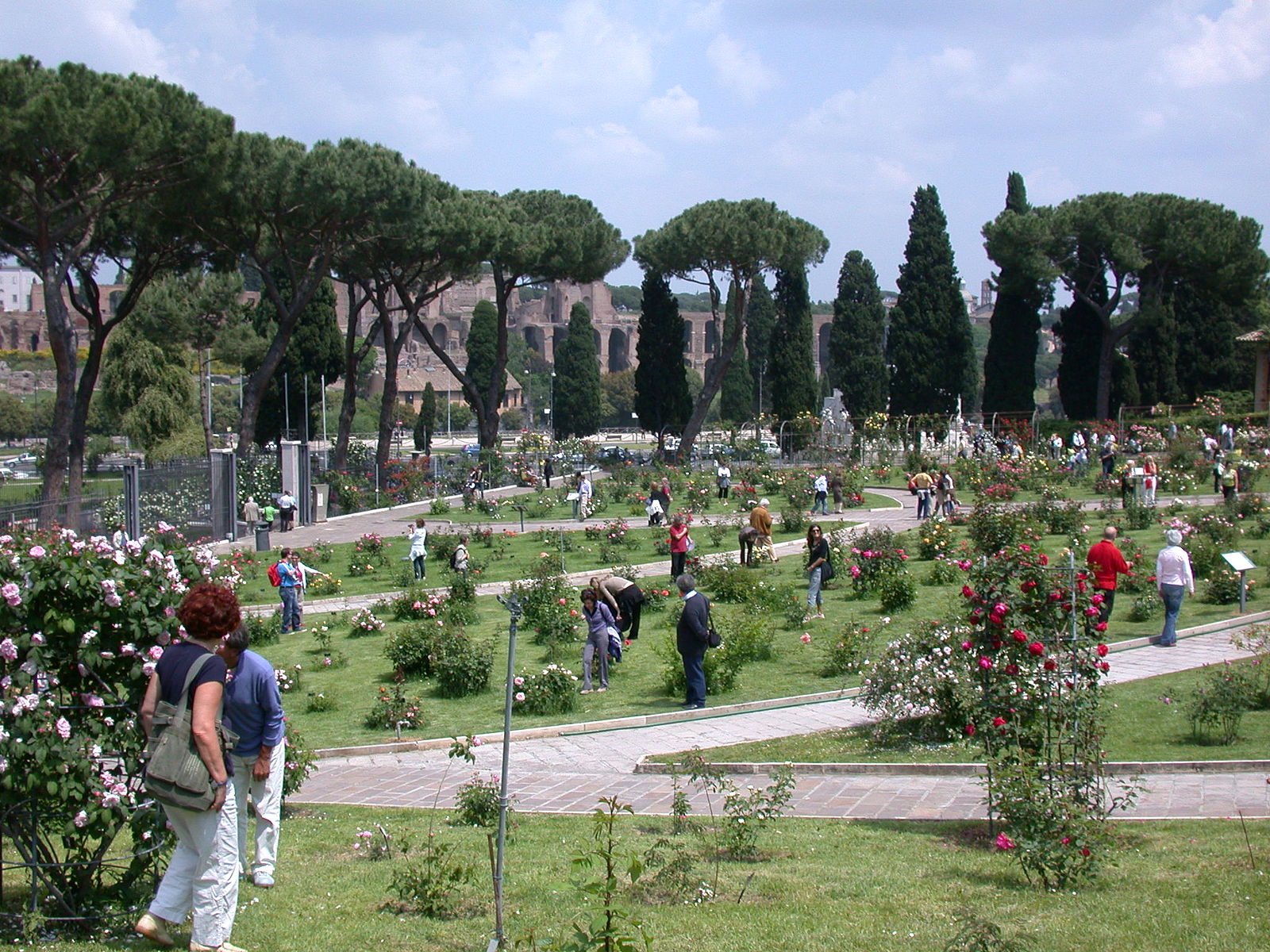 Municipal Rose Garden