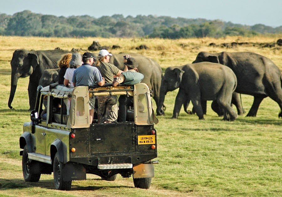 Discover Sri Lanka Through Kosher Eyes: A Journey of Culture, Nature & Tradition